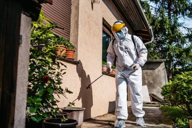 Best Wasp Removal Services  in Okauchee Lake, WI