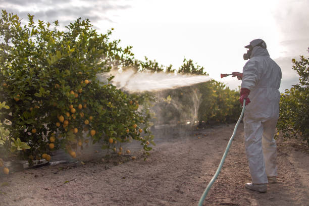 Best Mosquito Control Services  in Okauchee Lake, WI