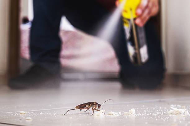 Reliable Okauchee Lake, WI Pest Control Solutions