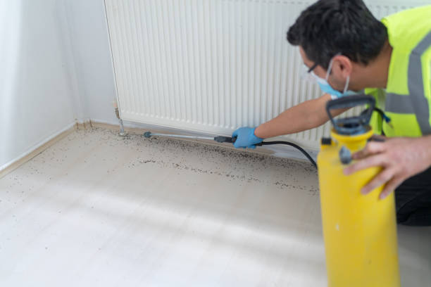 Best Flea Control Services  in Okauchee Lake, WI